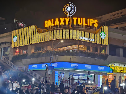 Starbucks Galaxy Tulips Đà Lạt
