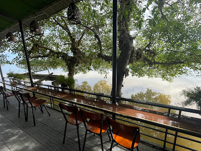 Cà Phê Mắt Biếc