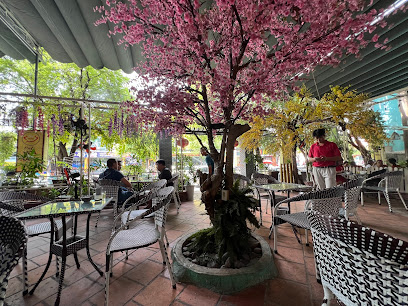 Cafe Hoa Nắng