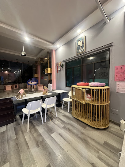 Mèo Ơi - Cà Phê Mèo Chữa Lành, Quận 10, TPHCM