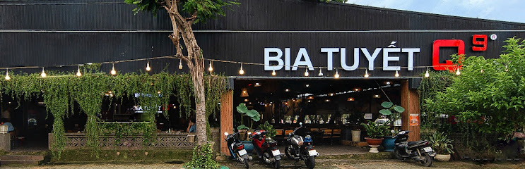 BIA TUYẾT Q9 - Đỗ Xuân Hợp