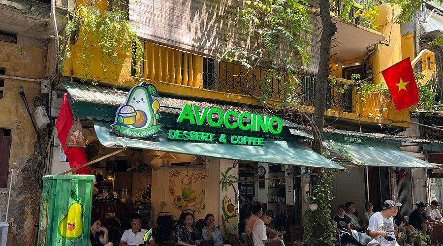 Avoccino